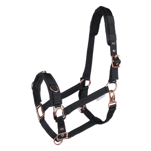 Waldhausen Lunging Halter Rosé
