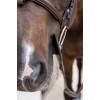 Grooming Deluxe Silicone Bit Rings Extra