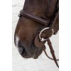Grooming Deluxe Silicone Bit Guards