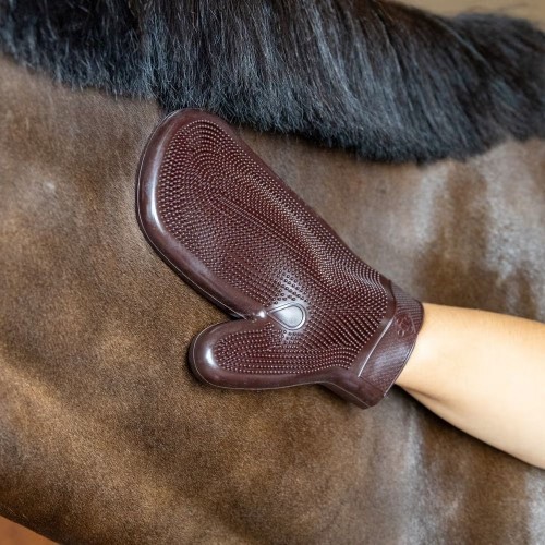 Grooming Deluxe Rubber Grooming Glove