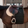 Kentucky Belly Band Horse