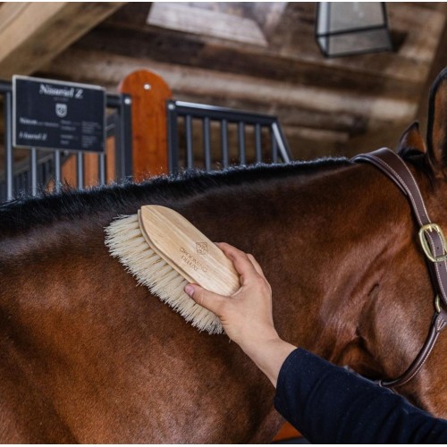 Grooming Deluxe Wooden Brush Classic Long Soft