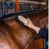 Grooming Deluxe Wooden Brush Classic Long Soft