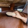 Grooming Deluxe Wooden Brush Classic Medium Hard