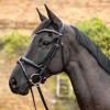 Passier Bridle Balance