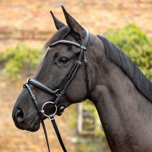 Passier Bridle Balance