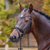 Passier Shadow Bridle