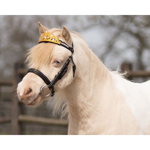 QHP Crown Horse