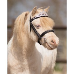 QHP Crown Horse