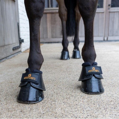 Kentucky Springschoenen Pro
