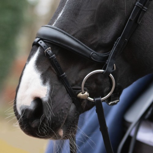Passier Anatomical Cheekbone Noseband