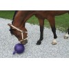 Covalliero Paardenspeelbal