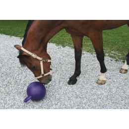 Covalliero Paardenspeelbal