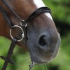 Passier Drop Noseband with Patent Leather