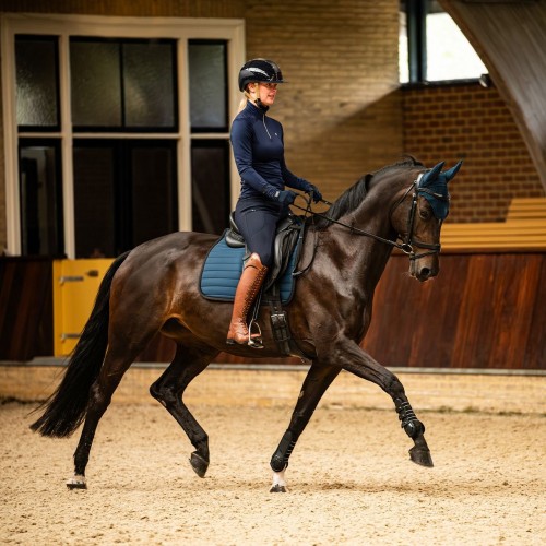 QHP FW25 Riding Breeches Lymee softshell full grip