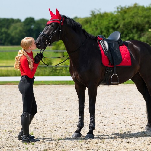 QHP SS26 Oakleigh Riding Tights Full Grip