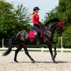 QHP SS26 Oakleigh Riding Tights Full Grip