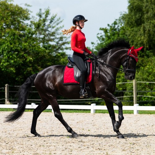 QHP SS26 Oakleigh Riding Tights Full Grip