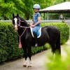 QHP SS26 Rosalynn Junior Riding Tights Full Grip Denim