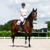 QHP Competition shirt Short-sleeved Vaila