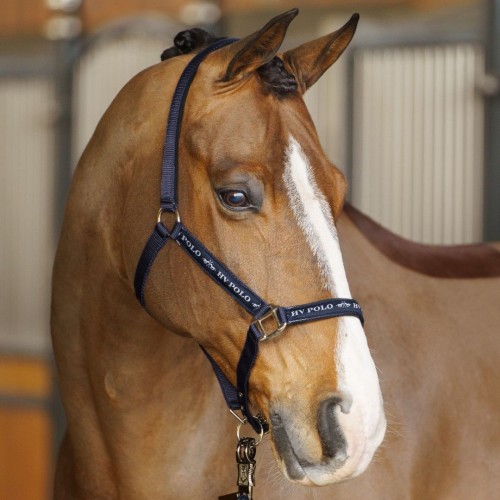 HV Polo Halter HVPNena