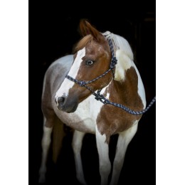 HorseGuard SS26 верёвочный недоуздок lead