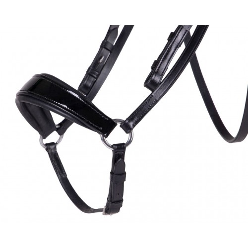 QHP Phaedra Bridle
