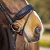 QHP Bridle Skye