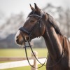 QHP Bridle Skye