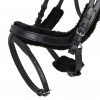 QHP Bridle Sensisoft