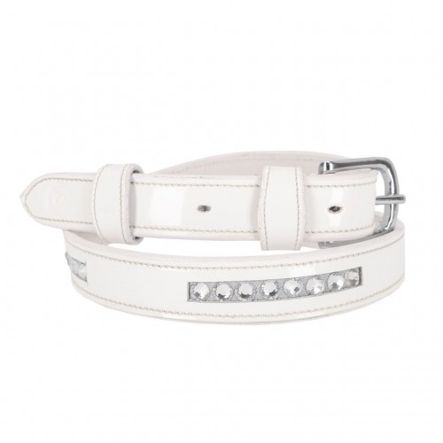 QHP Competition belt Vaila