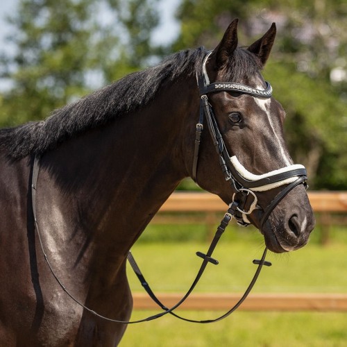 QHP Sensisoft Bridle Sheepskin Set