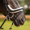 QHP Sensisoft Bridle Sheepskin Set