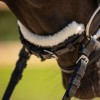 QHP Sensisoft Bridle Sheepskin Set
