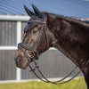 QHP Bridle Glitter