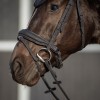 QHP Bridle Glitter