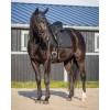 QHP Bridle Glitter