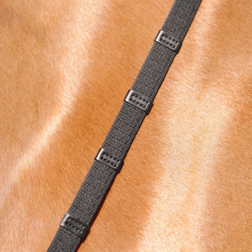Passier Web Reins with Double Stops