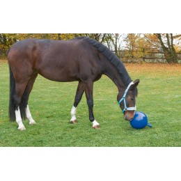 Covalliero Horse Play Ball Ø 25 см