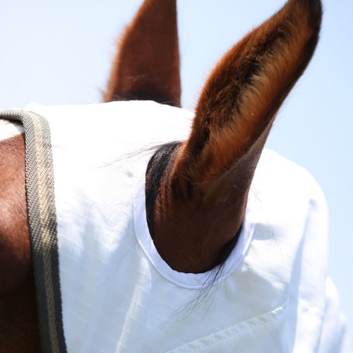 Shires Highlander Plus Sun Shade Fly Combo Rug