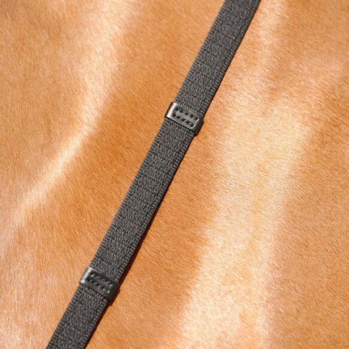 Passier Round-Stitched Web Reins with Leather Stops