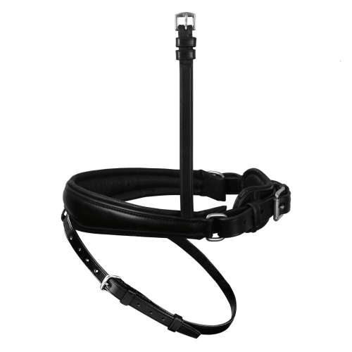 Passier Anatomical Padded Flash Noseband