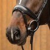 Passier Anatomical Padded Flash Noseband