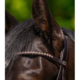 Waldhausen X-Line Glam налобник коричневый кожаный