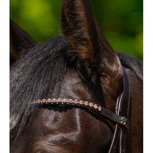 Waldhausen X-Line Glam Browband Brown Leather