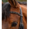 Waldhausen X-Line Browband Braided