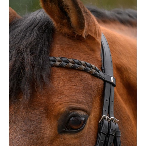 Waldhausen X-Line Browband Braided