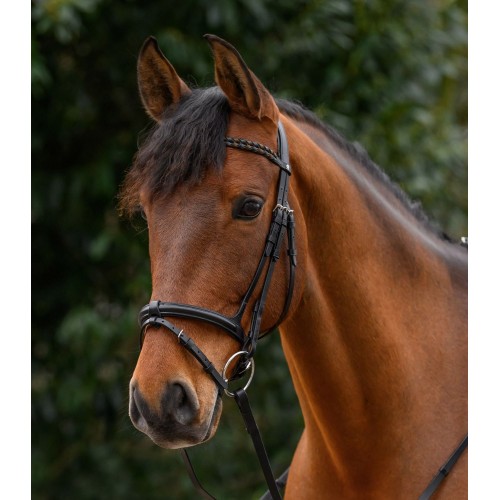 Waldhausen X-Line Browband Braided
