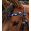 Waldhausen X-Line Browband Polo