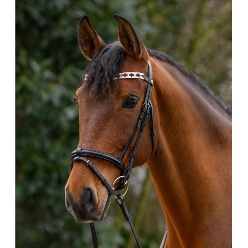 Waldhausen X-Line Browband Polo